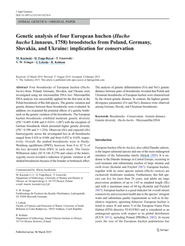 Genetic Analysis of Four European Huchen (Hucho Hucho Linnaeus, 1758) Broodstocks from Poland, Germany, Slovakia, and Ukraine: Implication for Conservation