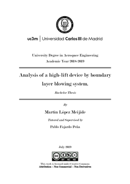 Analysis of a High-Lift Device by Boundary Layer Blowing System