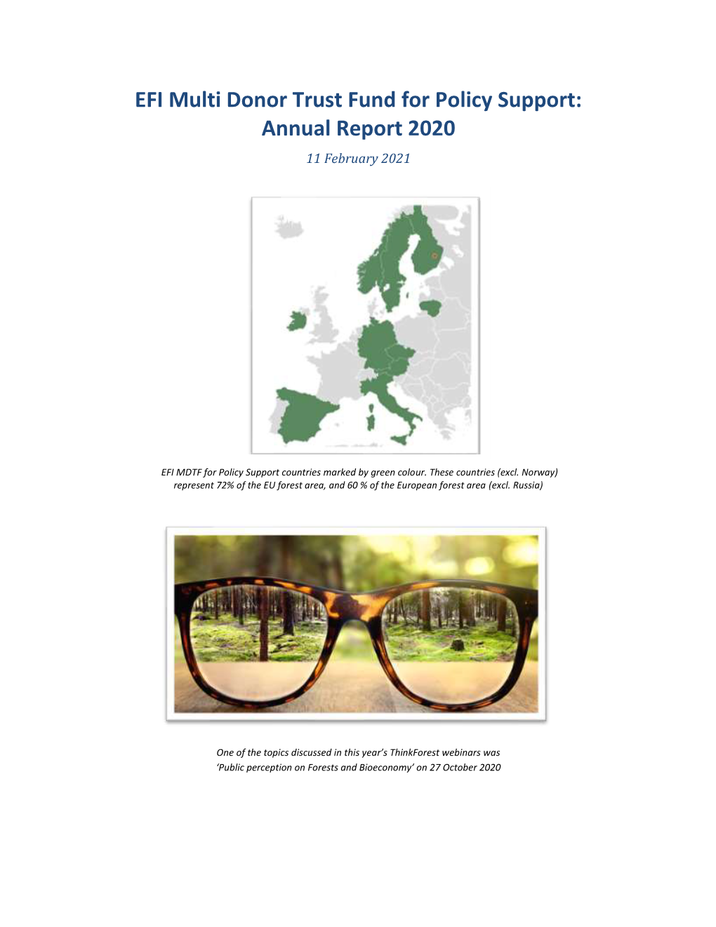 EFI Multi Donor Trust Fund for Policy Support: Annual Report 2020