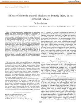 Effects of Chloride Channel Blockers on Hypoxic Injury in Rat Proximal Tubules
