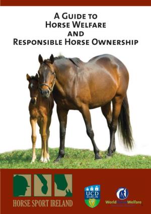 A Guide to Horse Welfare and Responsible Horse Ownership