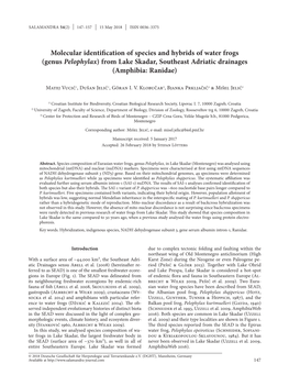 Molecular Identification of Species and Hybrids of Water Frogs (Genus Pelophylax) from Lake Skadar, Southeast Adriatic Drainages (Amphibia: Ranidae)