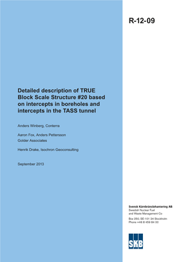 Detailed Description of TRUE Block Scale Structure #20 Based on Intercepts in Boreholes and Intercepts in the TASS Tunnel