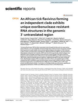 An African Tick Flavivirus Forming an Independent Clade Exhibits Unique