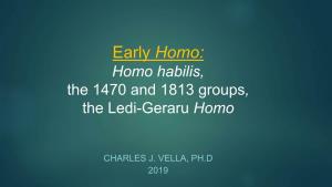 Homo Habilis, the 1470 and 1813 Groups, the Ledi-Geraru Homo