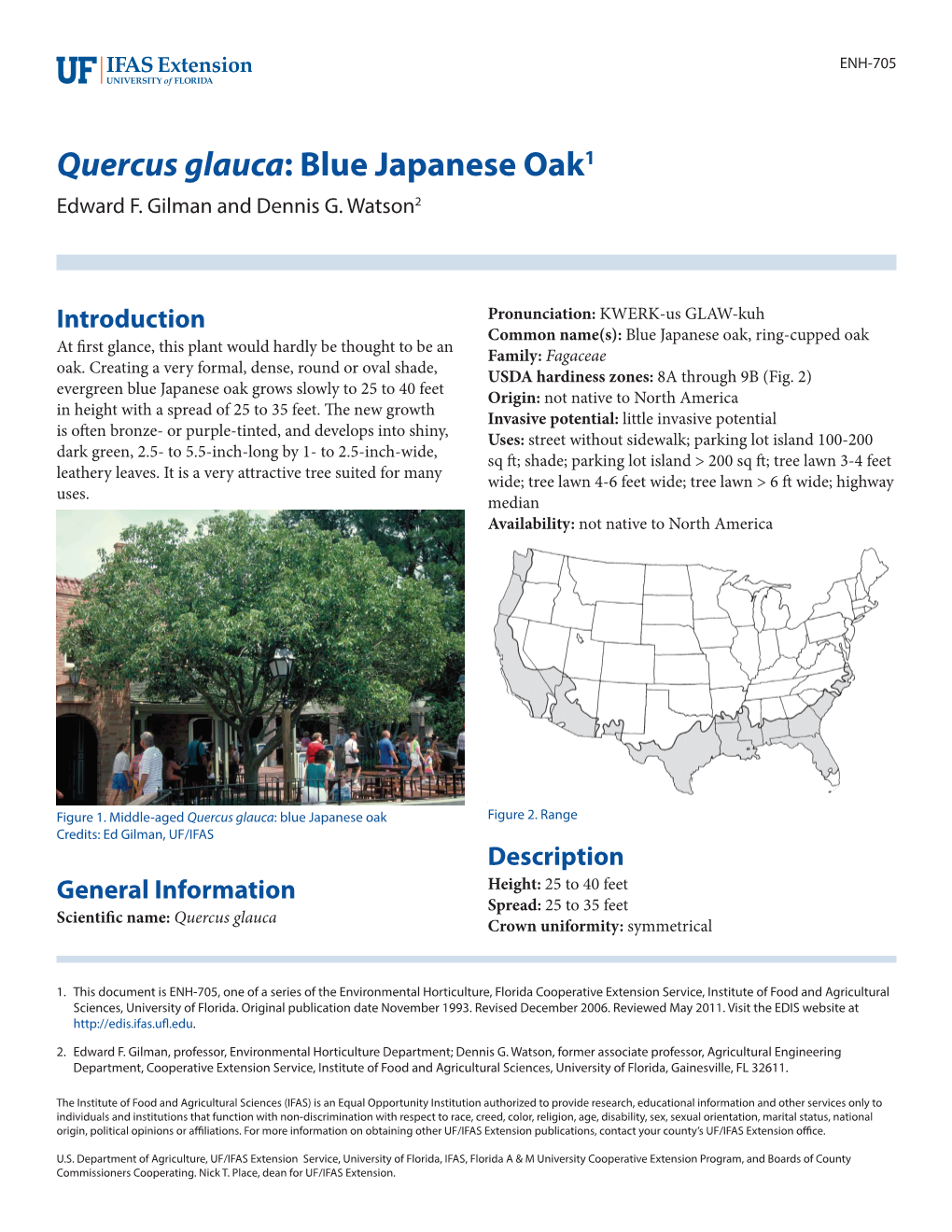 Quercus Glauca: Blue Japanese Oak1 Edward F