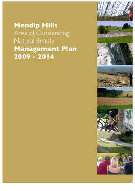 Mendip Hills AONB Management Plan 2009 -2014
