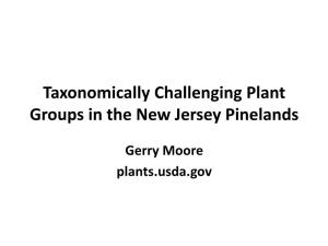 Taxonomically Challenging Plant Groups in the Pinelands