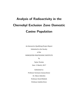 Analysis of Radioactivity in the Chernobyl Exclusion Zone Domestic Canine Population