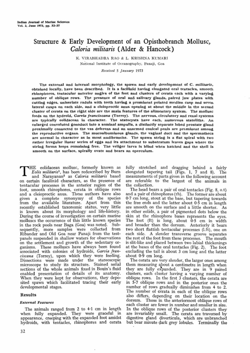 Structure & Early Development of an Opisthobranch Mollusc, Caloria