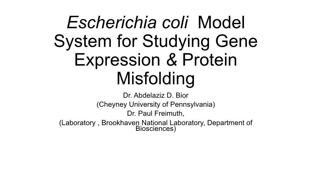 Escherichia Coli Model System for Studying Gene Expression & Protein Misfolding Dr