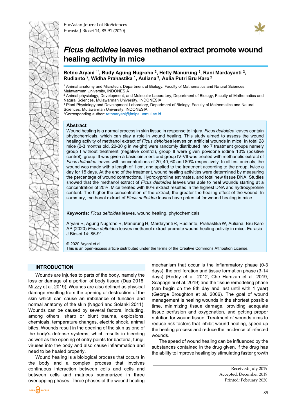 Ficus Deltoidea Leaves Methanol Extract Promote Wound Healing Activity in Mice