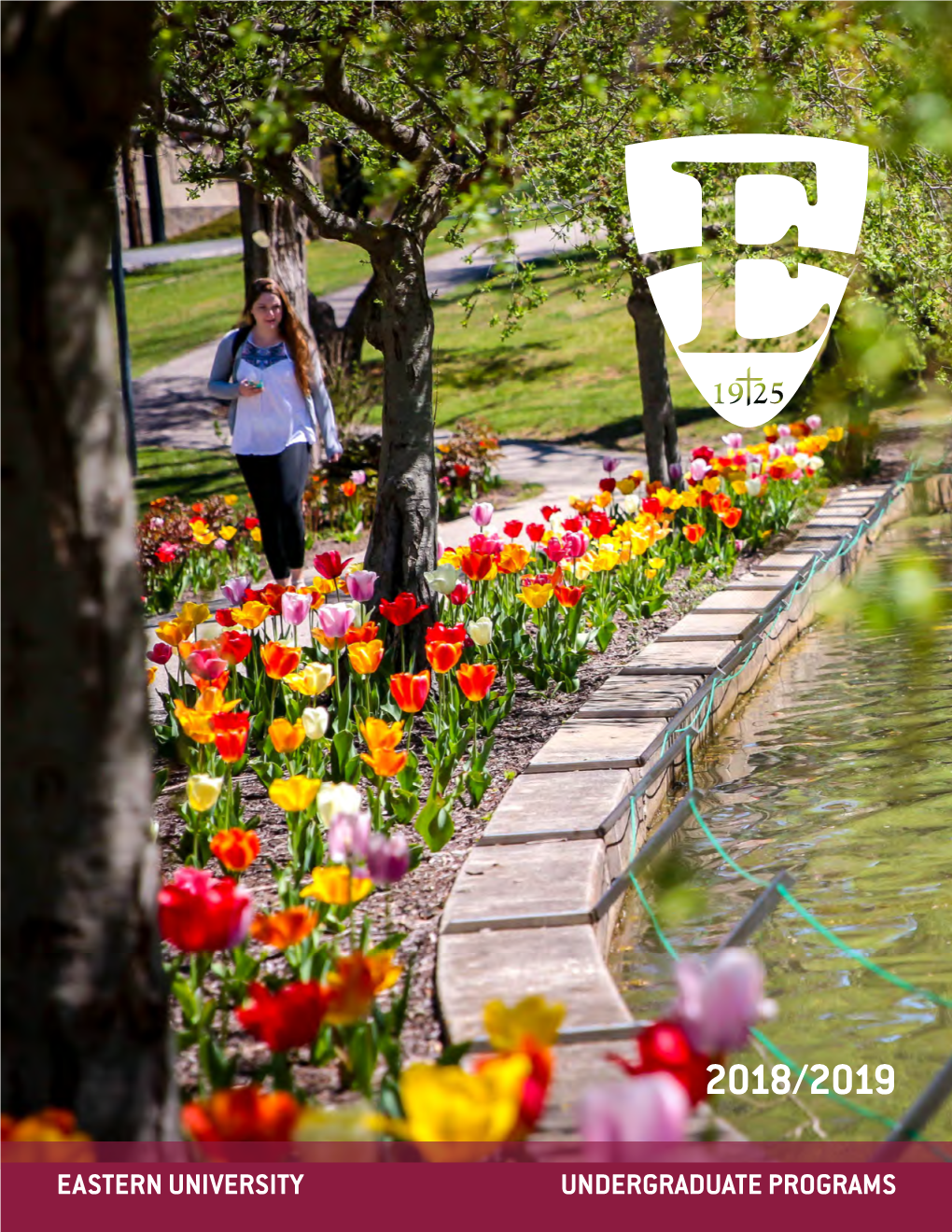 2018-2019 Undergraduate Catalog