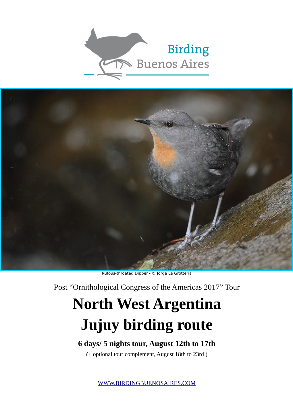 North West Argentina Jujuy Birding Route 6 Days/ 5 Nights Tour, August 12Th to 17Th (+ Optional Tour Complement, August 18Th to 23Rd )