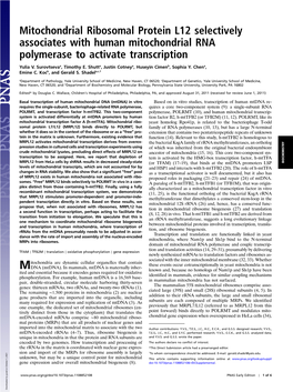 Mitochondrial Ribosomal Protein L12 Selectively Associates with Human Mitochondrial RNA Polymerase to Activate Transcription
