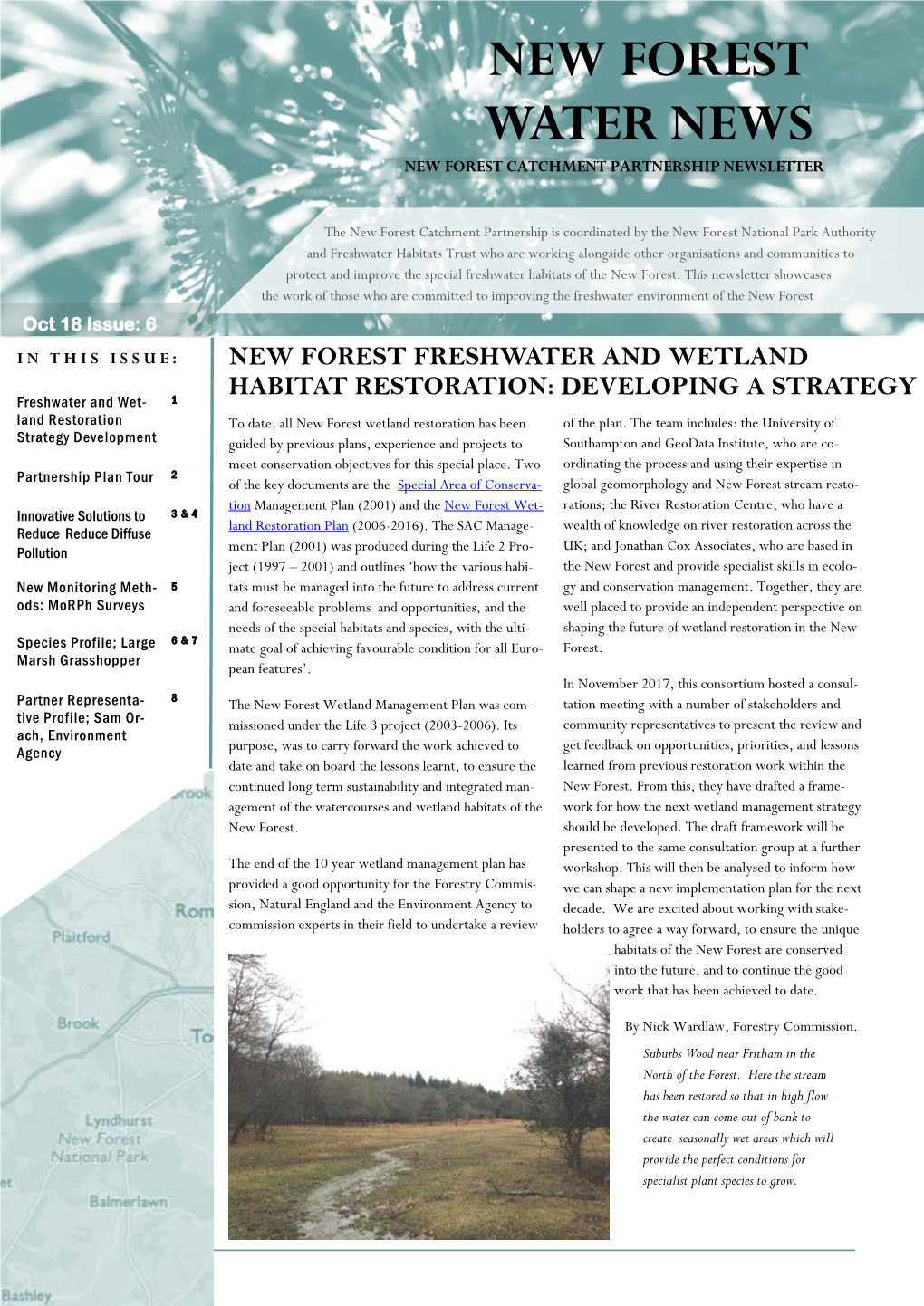 New Forest Water News New Forest Catchment Partnership Newsletter