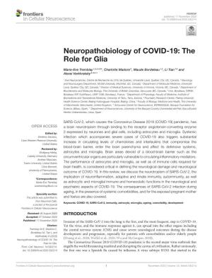 Neuropathobiology of COVID-19: the Role for Glia