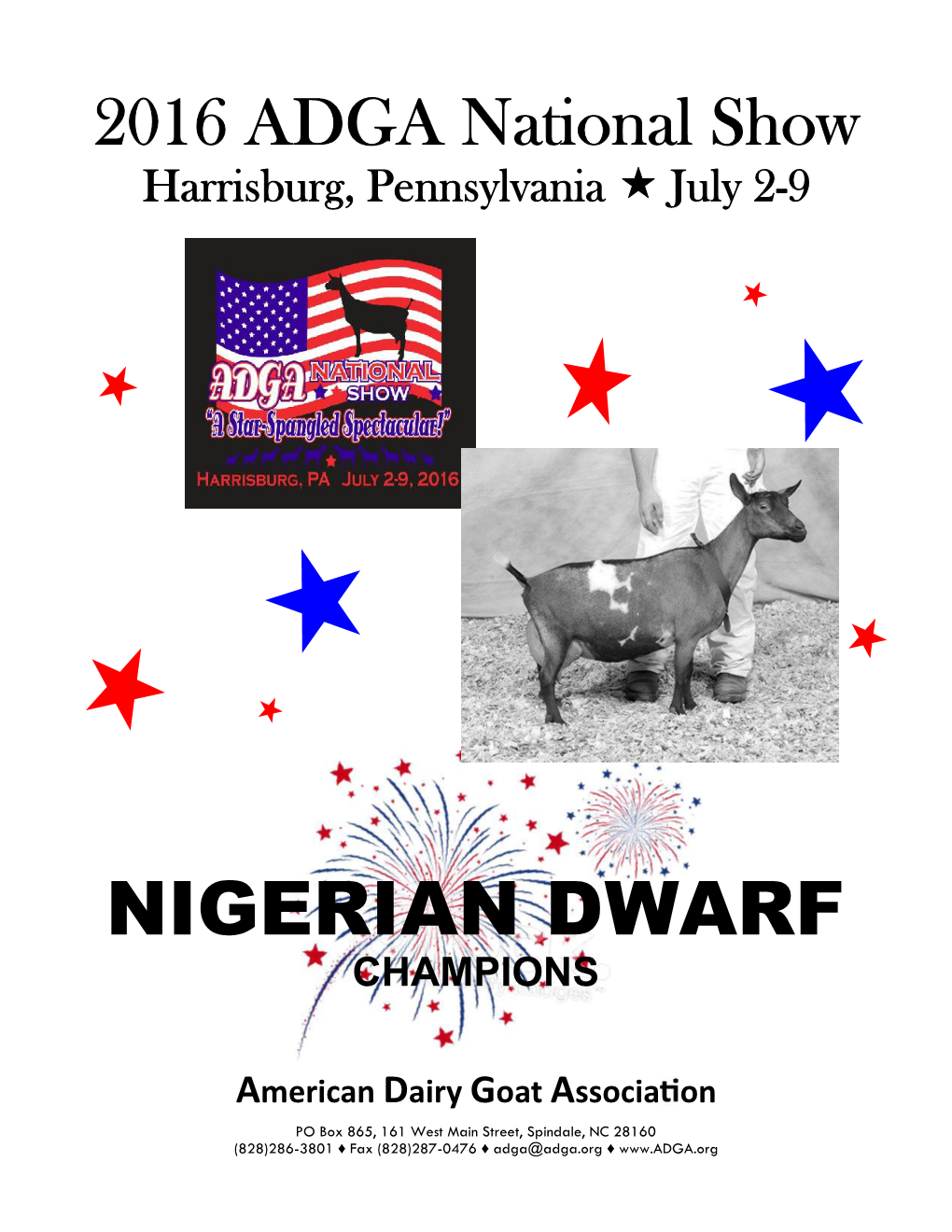 Nigerian Dwarf Champions