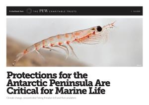 Protections for the Antarctic Peninsula Are Critical for Marine Life Climate Change, Concentrated Fishing Threaten Krill and Their Predators