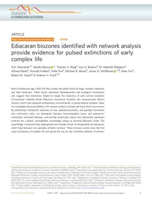 Ediacaran Biozones Identified with Network Analysis Provide Evidence