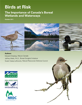 Birds at Risk the Importance of Canada’S Boreal Wetlands and Waterways
