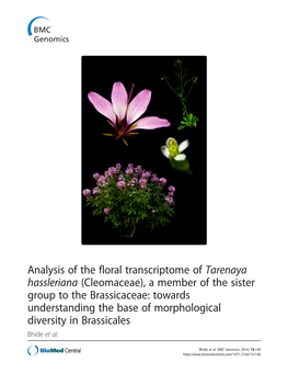 Analysis of the Floral Transcriptome of Tarenaya