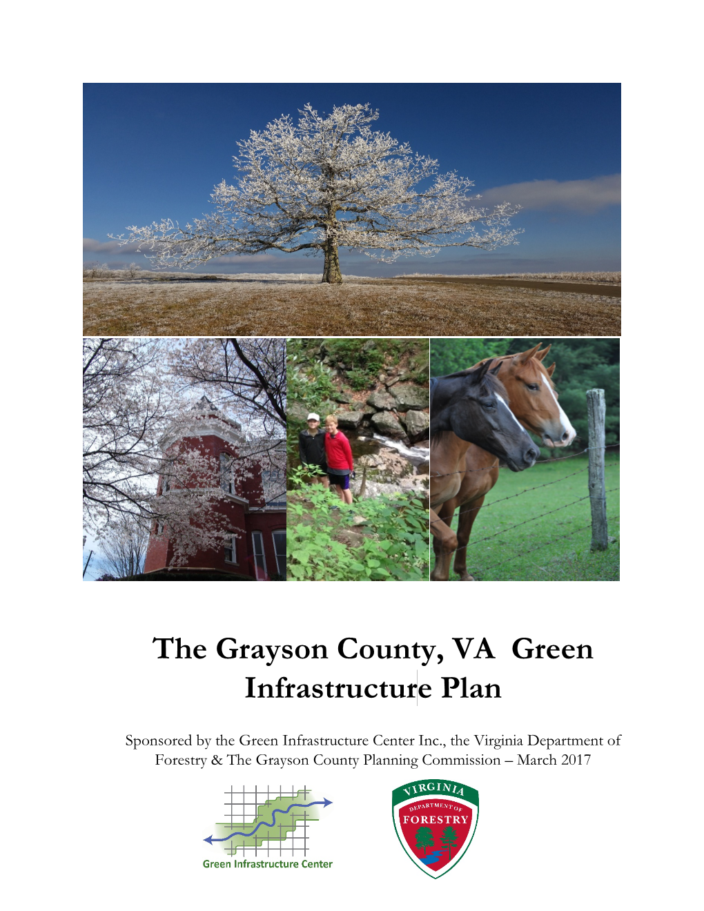 Grayson County, VA Green