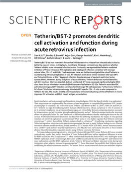 Tetherin/BST-2 Promotes Dendritic Cell Activation and Function During Acute Retrovirus Infection Received: 21 October 2015 Sam X