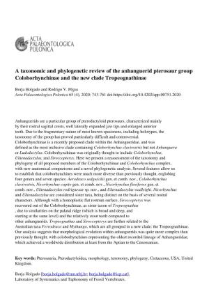 A Taxonomic and Phylogenetic Review of the Anhanguerid Pterosaur Group Coloborhynchinae and the New Clade Tropeognathinae