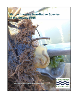 Marine Invasive Non-Native Species in the Solway Firth