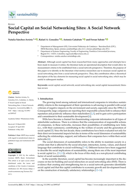 Social Capital on Social Networking Sites: a Social Network Perspective