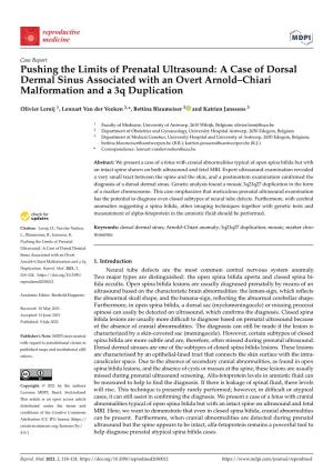 Pushing the Limits of Prenatal Ultrasound: a Case of Dorsal Dermal Sinus Associated with an Overt Arnold–Chiari Malformation and a 3Q Duplication