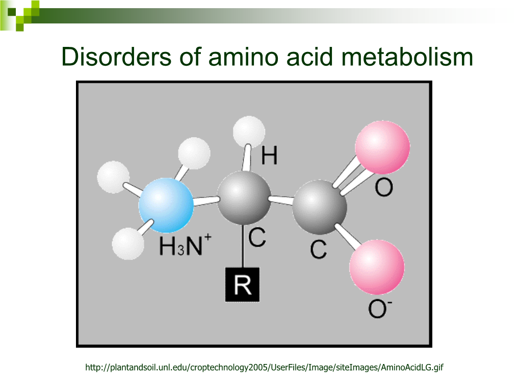 Disorders Of Amino Acid Metabolism Docslib 