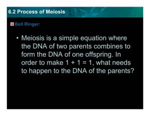 Meiosis Is a Simple Equation Where the DNA of Two Parents Combines to Form the DNA of One Offspring