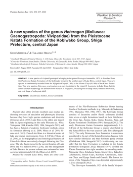 A New Species of the Genus Heterogen (Mollusca
