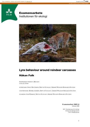 Examensarbete Institutionen För Ekologi Lynx Behaviour Around