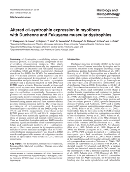 Altered Α1-Syntrophin Expression in Myofibers With