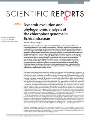 Dynamic Evolution and Phylogenomic Analysis of the Chloroplast Genome