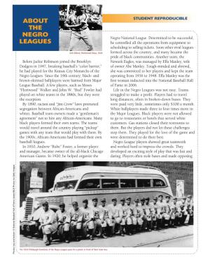 About the Negro Leagues