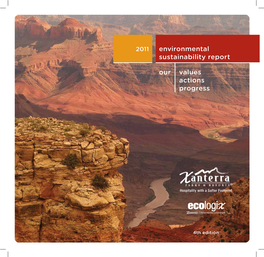 Environmental Sustainability Report Our Values Actions Progress