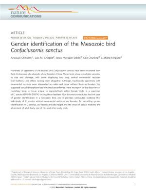 Gender Identification of the Mesozoic Bird Confuciusornis Sanctus
