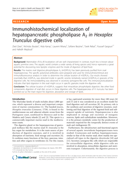 Immunohistochemical Localization of Hepatopancreatic Phospholipase