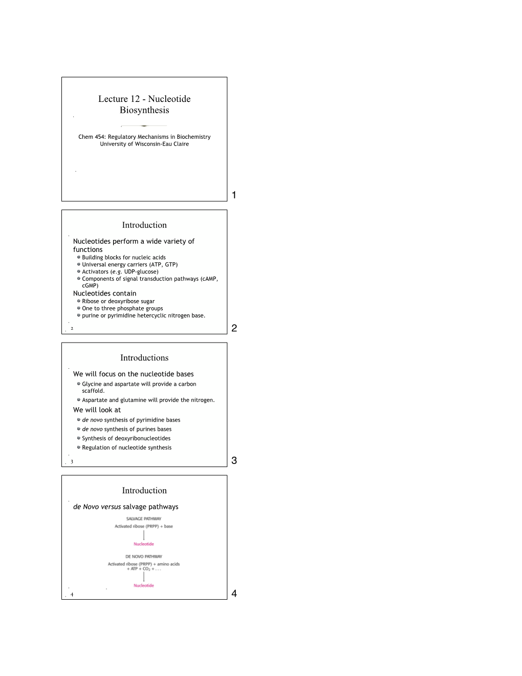 Lecture 12 - Nucleotide Biosynthesis