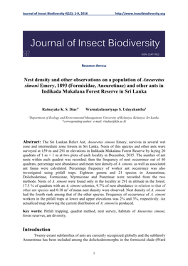 And Other Ants in Indikada Mukalana Forest Reserve in Sri Lanka