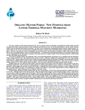 Organic-Matter Pores: New Findings from Lower-Thermal-Maturity Mudrocks 101