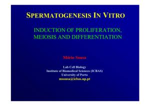 Spermatogenesis in Vitro