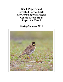 South Puget Sound Streaked Horned Lark (Eremophila Alpestris Strigata) Genetic Rescue Study Report for Year 2