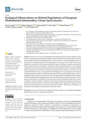 Ecological Observations on Hybrid Populations of European Plethodontid Salamanders, Genus Speleomantes