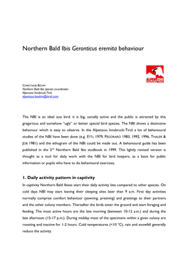 Northern Bald Ibis Geronticus Eremita Behaviour