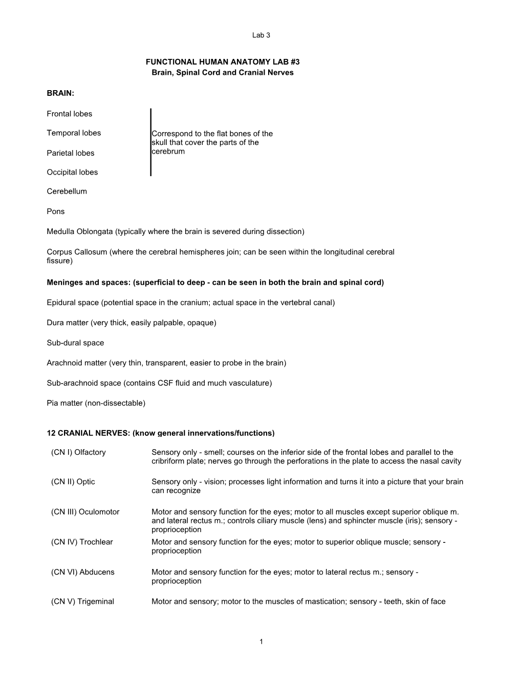 FUNCTIONAL HUMAN ANATOMY LAB #3 Brain, Spinal Cord and Cranial Nerves